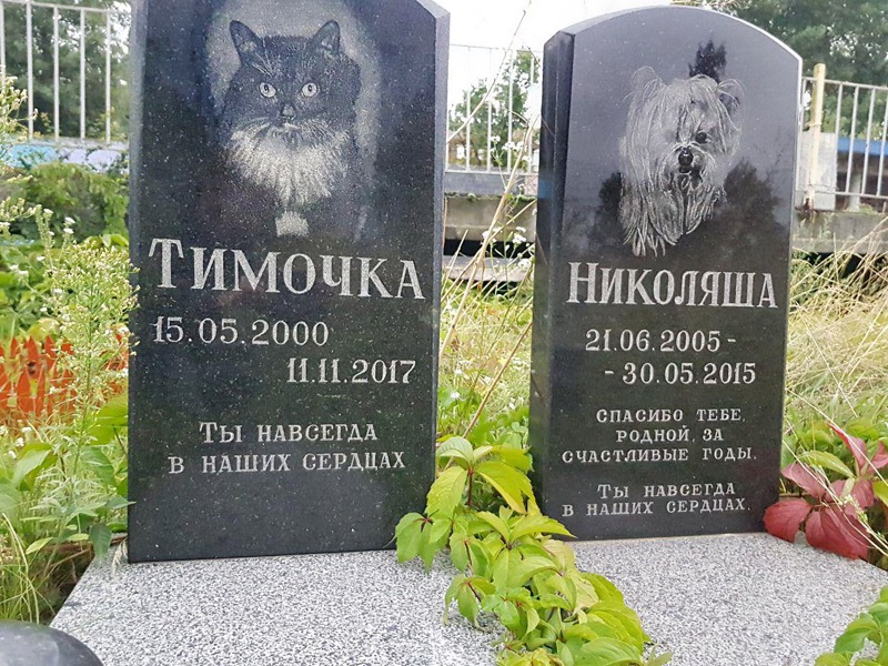 Похорон тварин у Києві