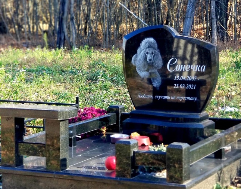 Похорон тварин у Києві